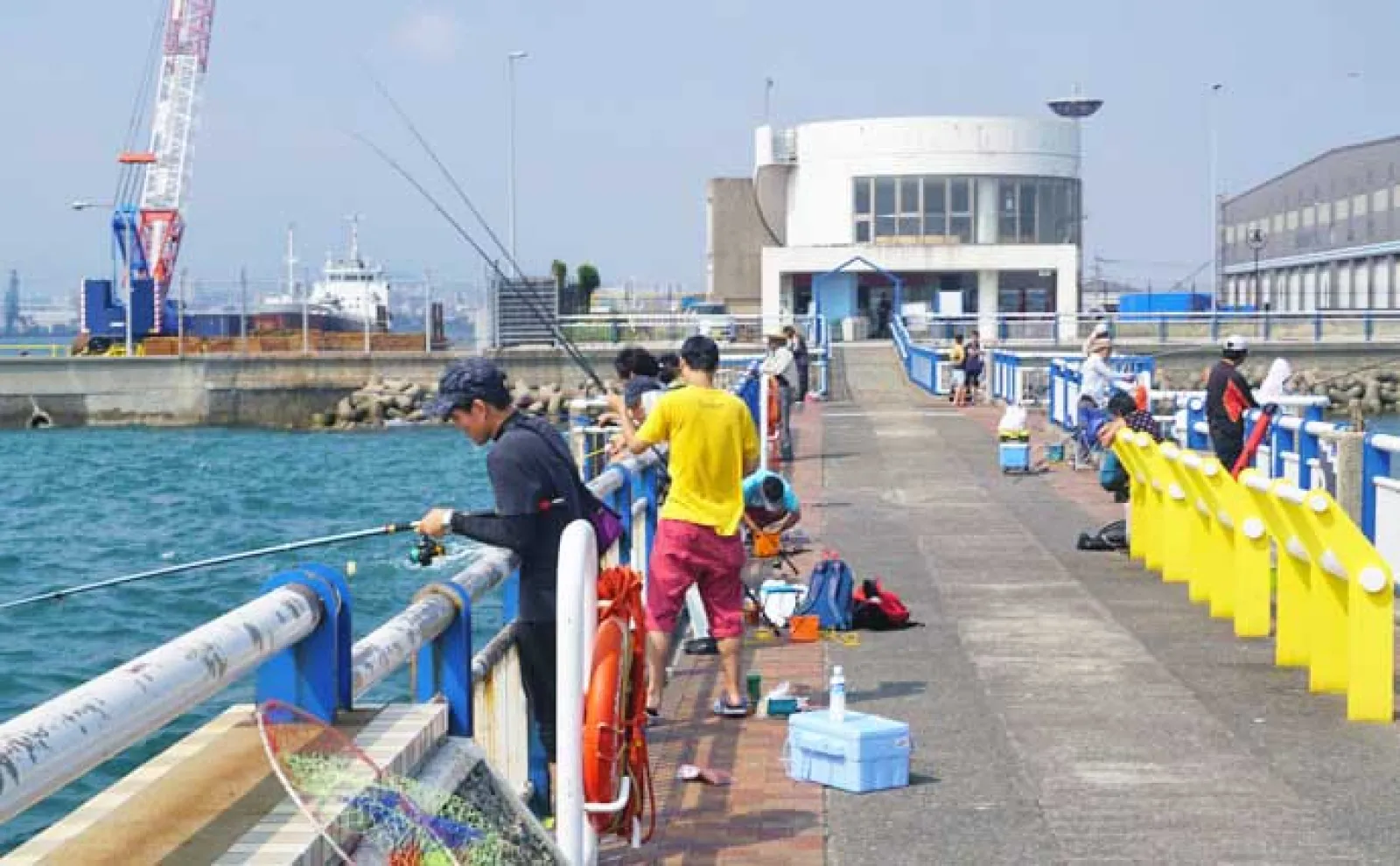 サビキ釣りの基本と釣果を伸ばすコツ　自分だけ釣れない原因は仕掛けと誘い？