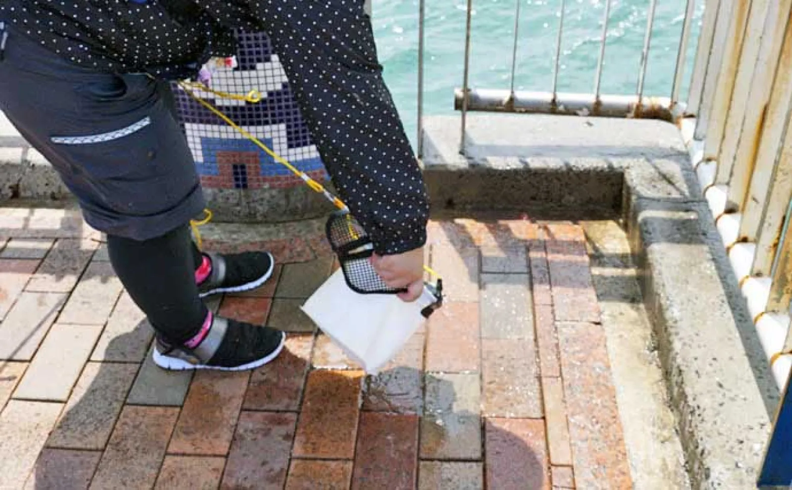 サビキ釣りの基本と釣果を伸ばすコツ　自分だけ釣れない原因は仕掛けと誘い？