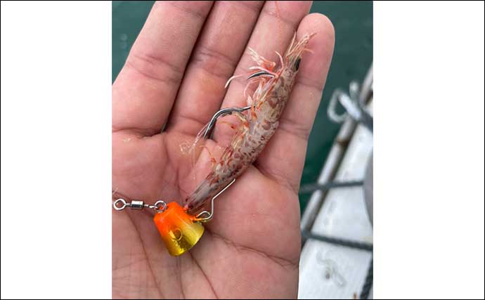 一つテンヤ攻略ガイド【釣り方・おすすめ仕掛け4選・誘いパターン 