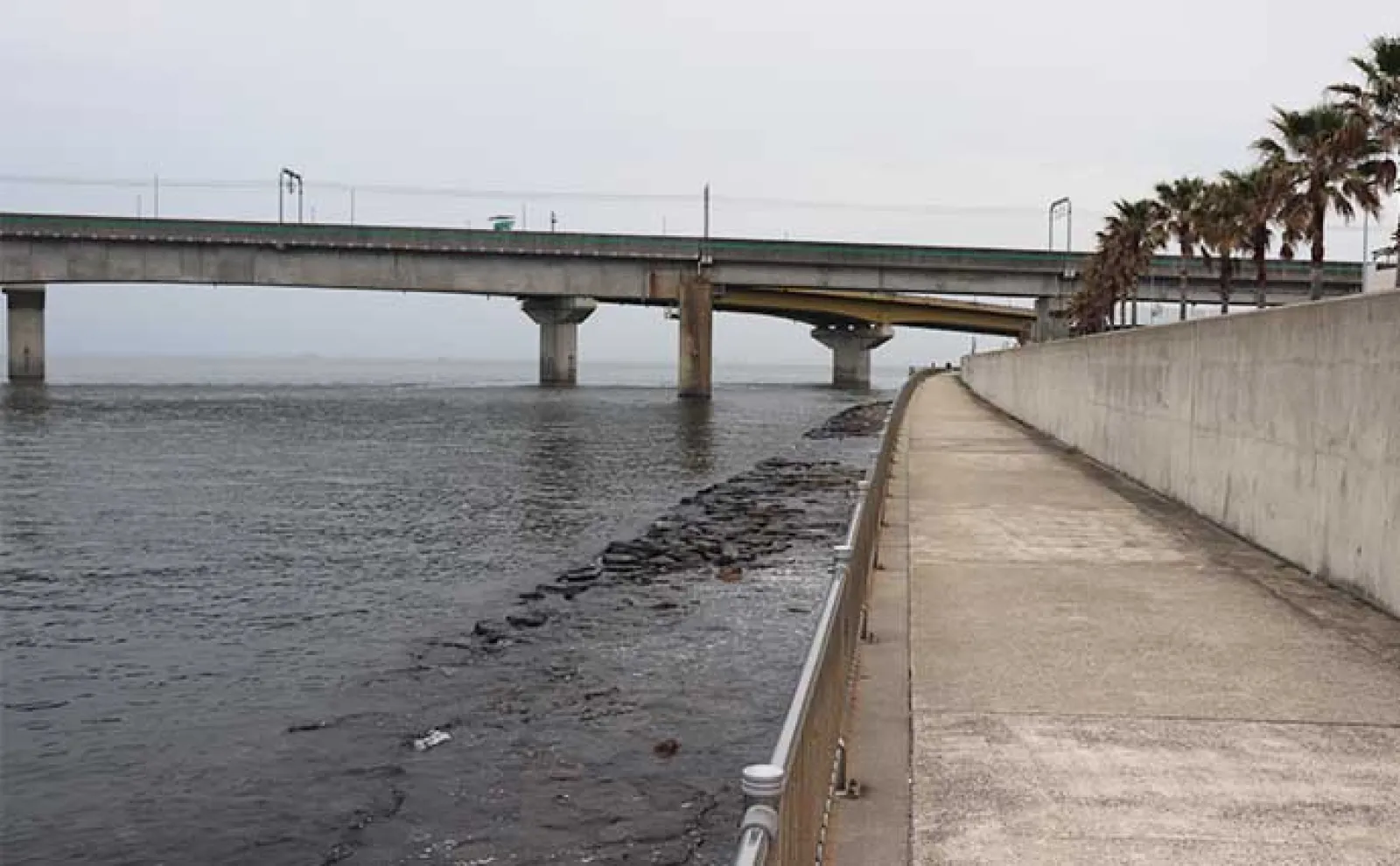 【愛知県】GWのオススメ釣り場：「吉良サンライズパーク」「りんくう釣り護岸」