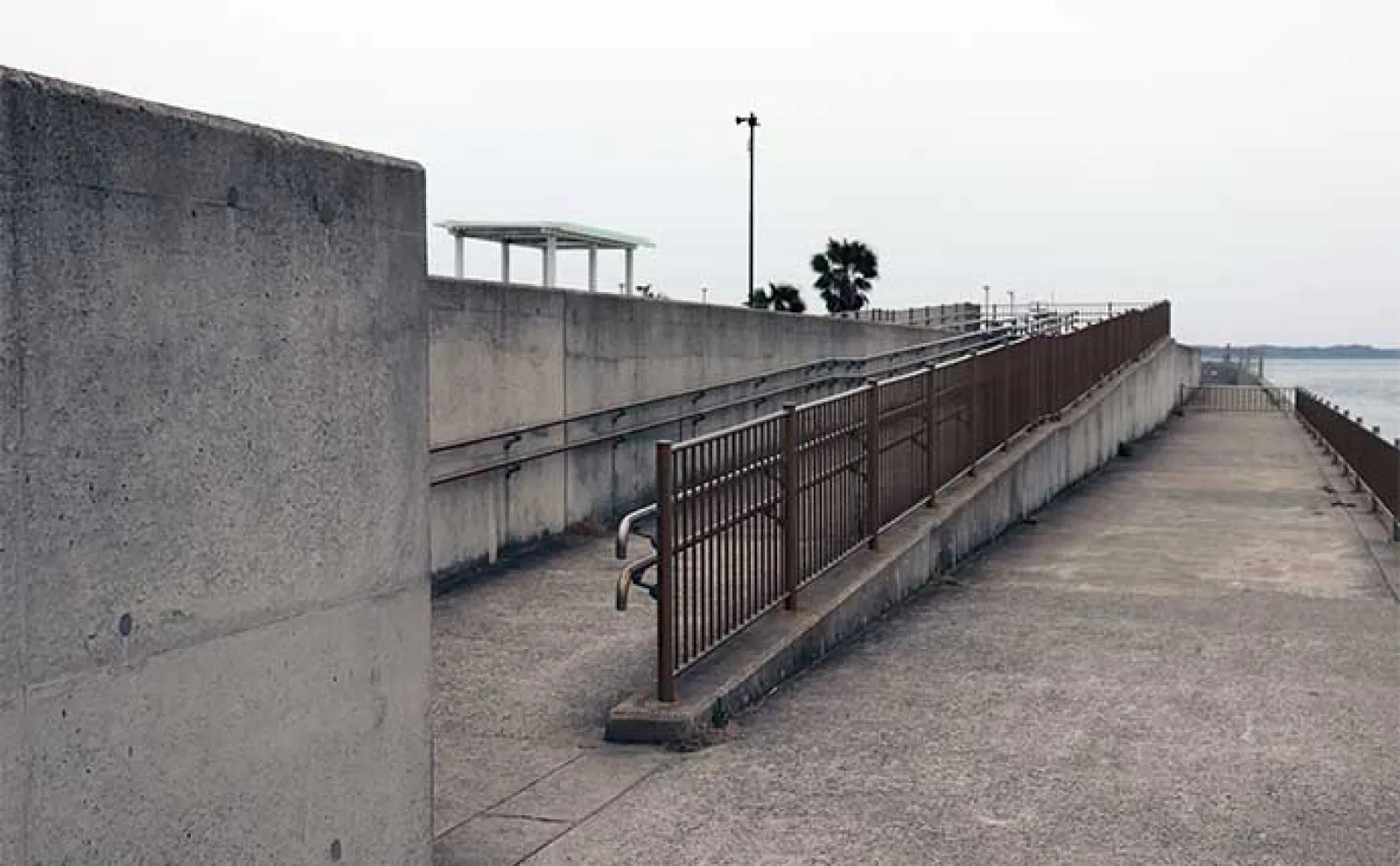 【愛知県】GWのオススメ釣り場：「吉良サンライズパーク」「りんくう釣り護岸」