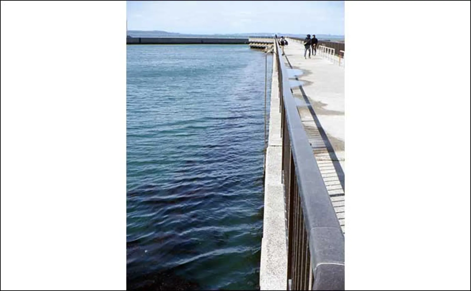 【愛知県】GWのオススメ釣り場：「吉良サンライズパーク」「りんくう釣り護岸」