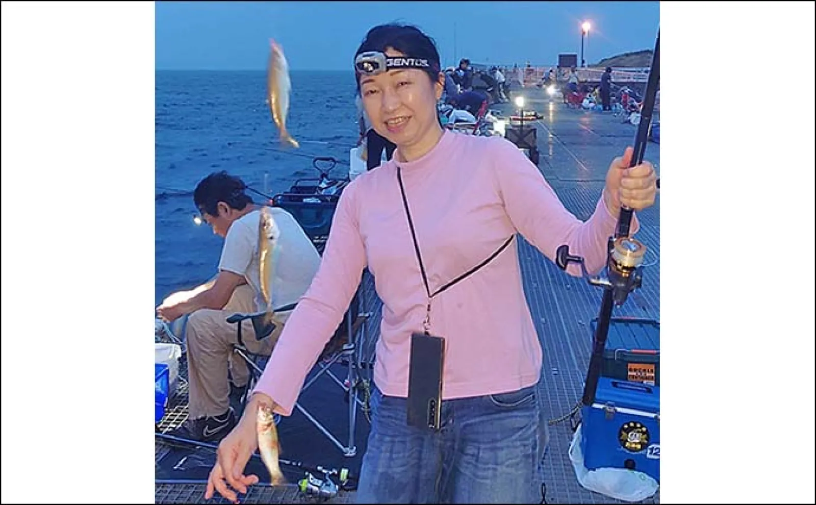 豊浜釣り桟橋でのサビキ釣りで小アジ60匹手中【愛知】多点掛けを堪能