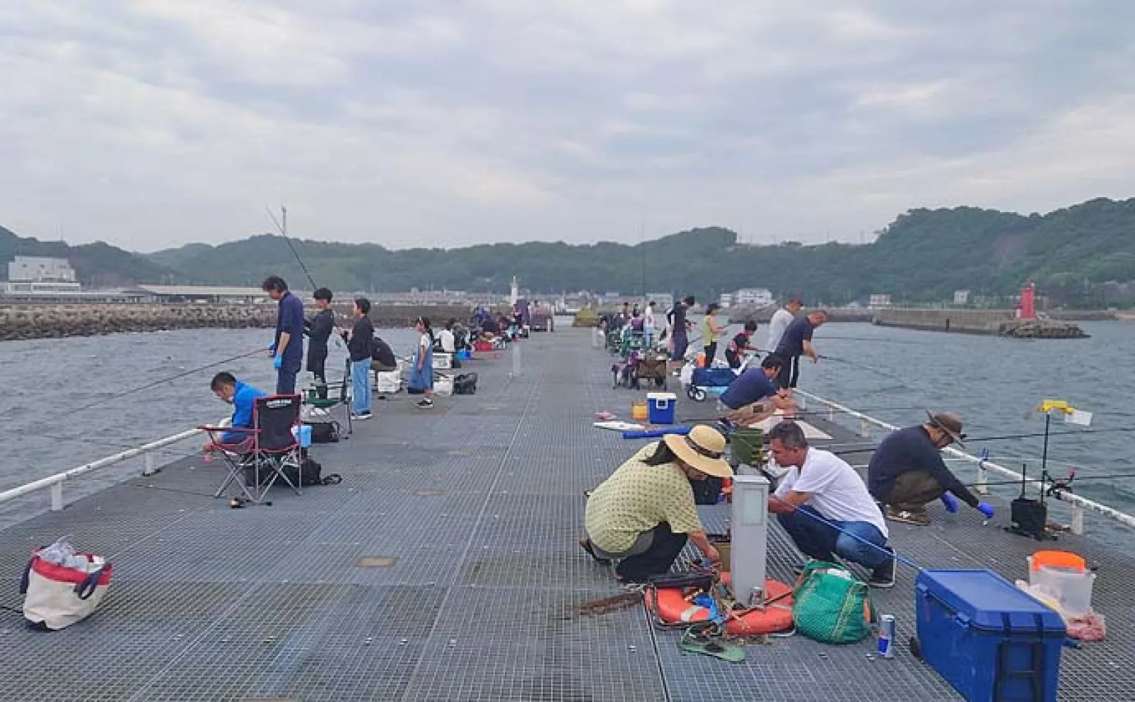 豊浜釣り桟橋でのサビキ釣りで小アジ60匹手中【愛知】多点掛けを堪能