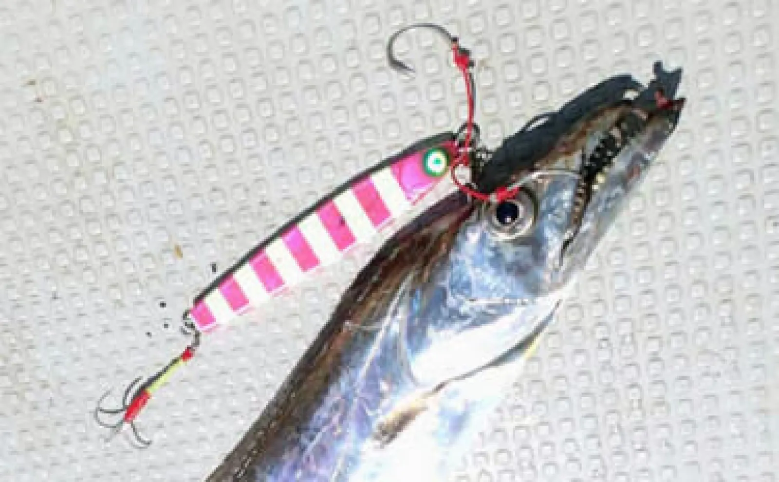 おすすめタチウオジギングロッド6選 専用ロッドで釣果に差がつくワケと
