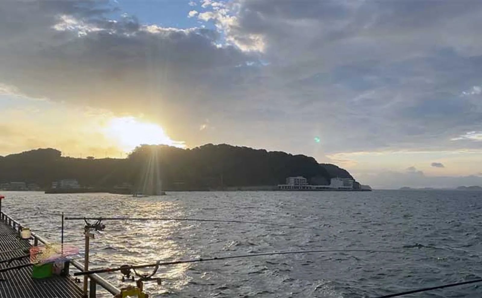 豊浜釣り桟橋でのサビキ釣りで15cm級のアジ・サバでクーラー満タン【愛知】