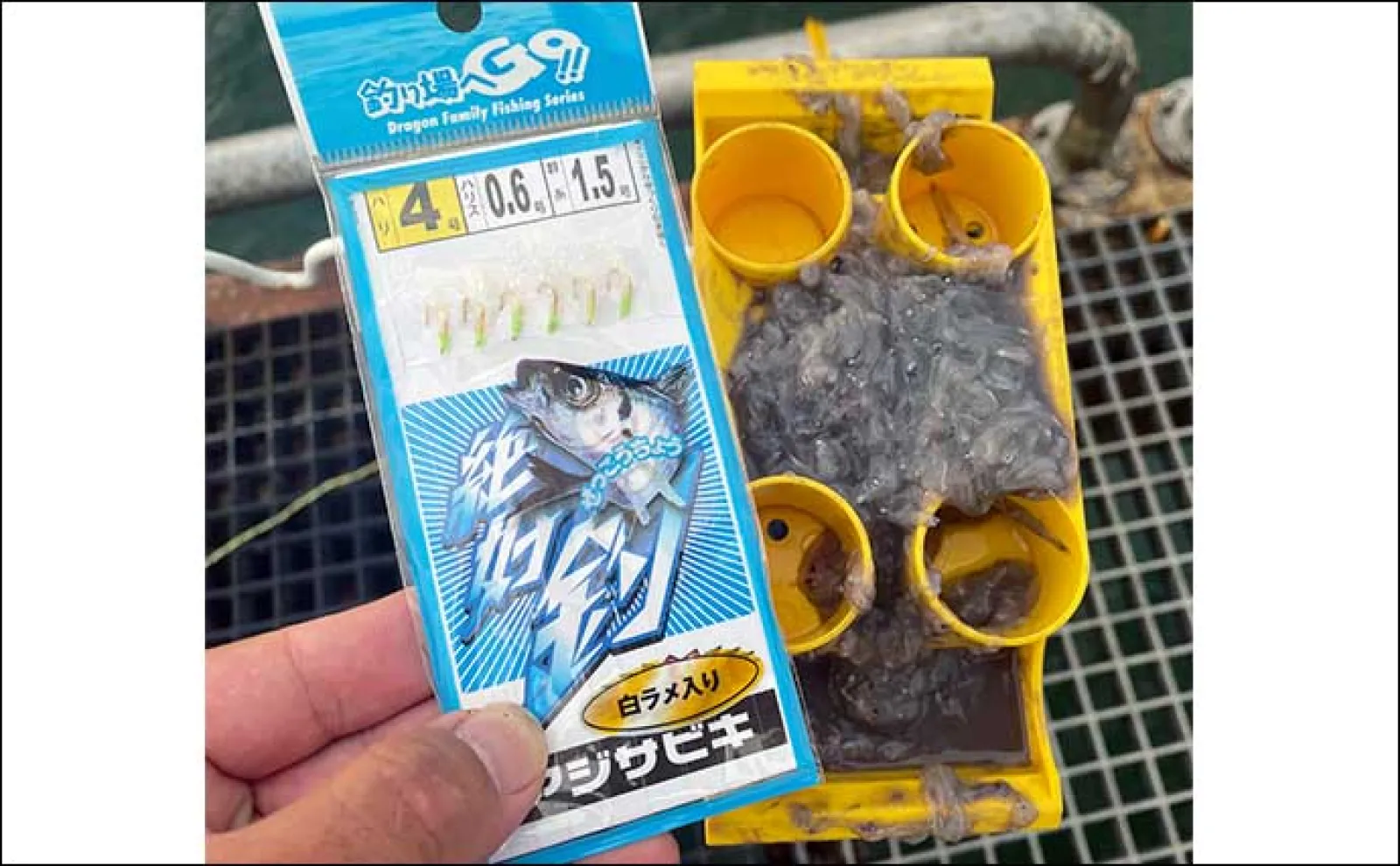 豊浜釣り桟橋でのサビキ釣りで15cm級のアジ・サバでクーラー満タン【愛知】