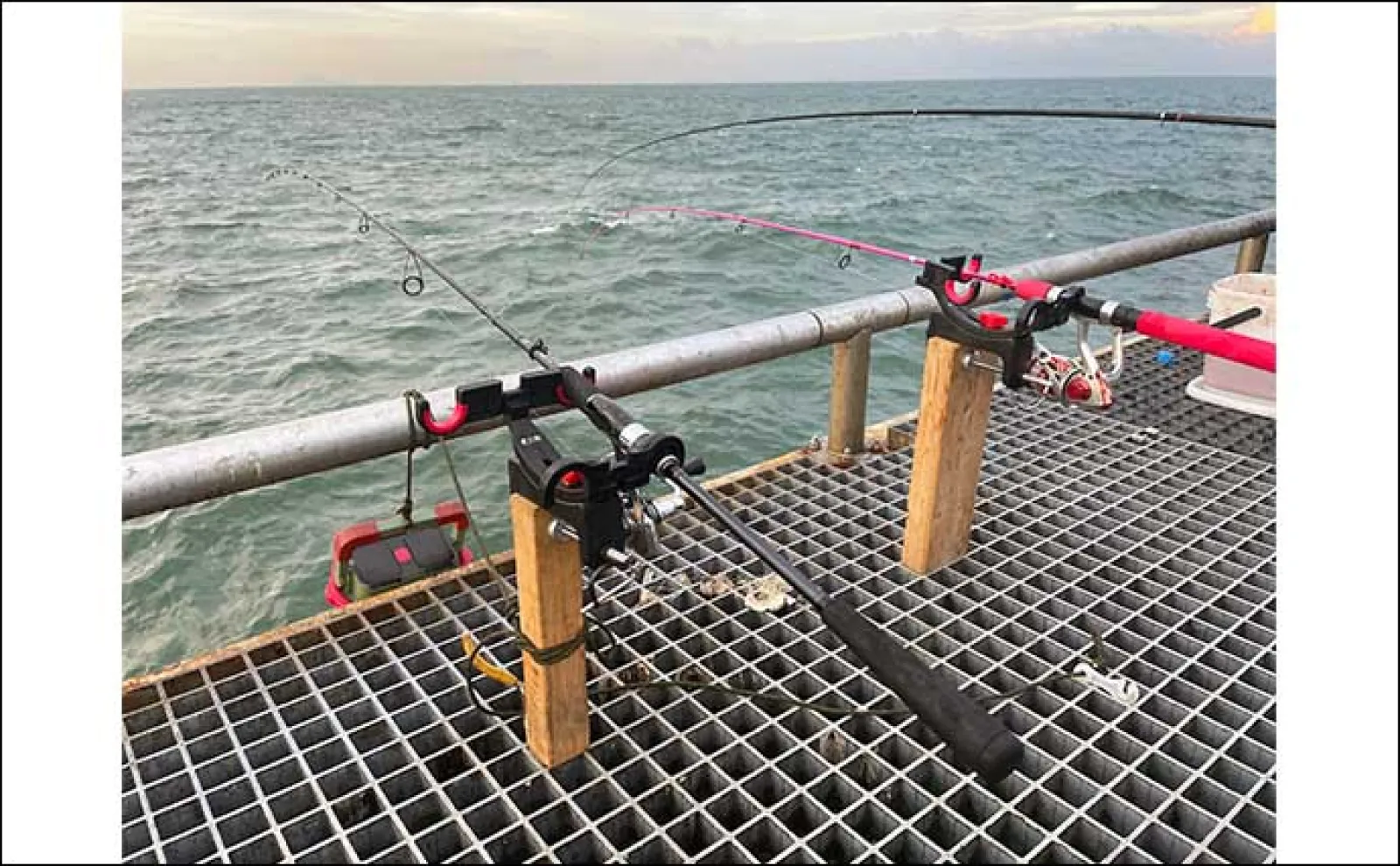 豊浜釣り桟橋でのサビキ釣りで15cm級のアジ・サバでクーラー満タン【愛知】