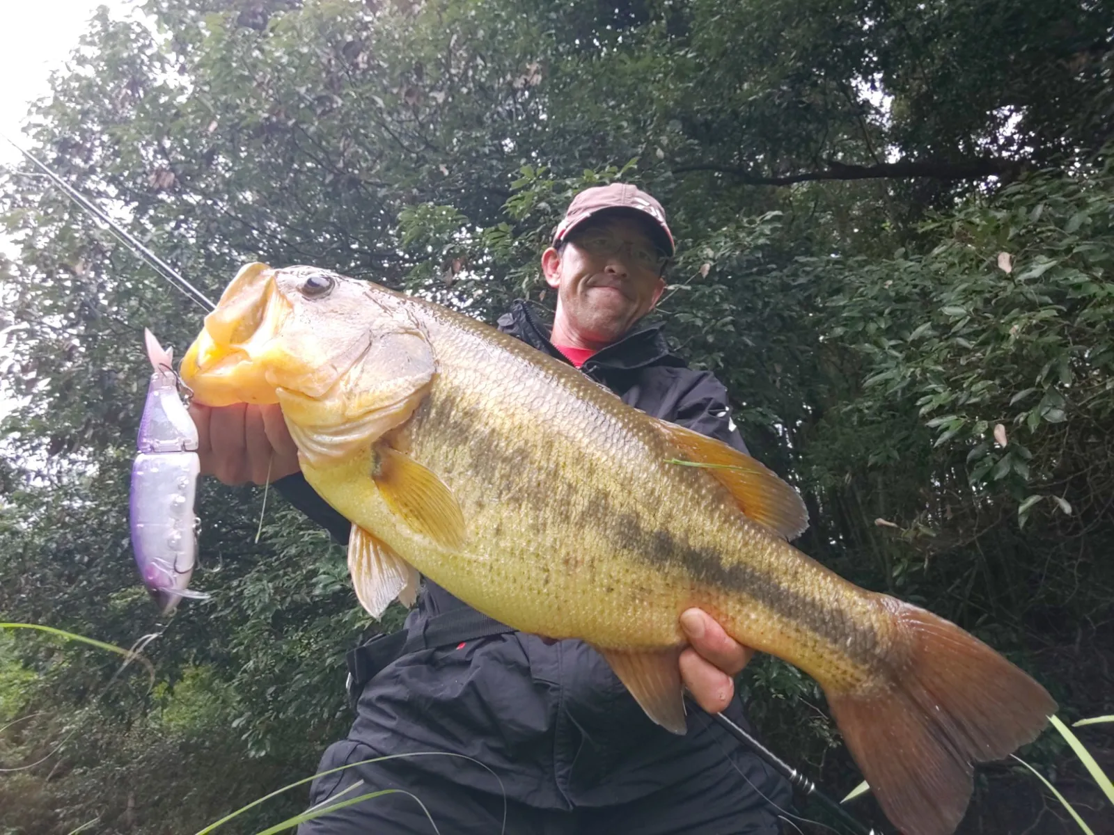 雨天の野池釣行で58cm大型ブラックバス登場【三重】ビッグベイトに