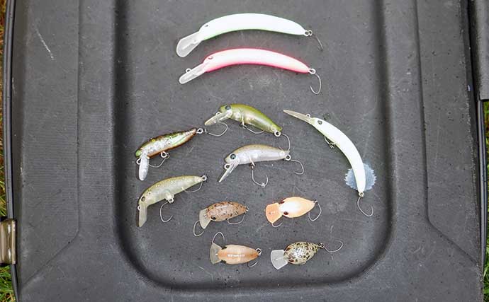 釣れる【エリアトラウト用クランク8選】 実績抜群のおすすめルアーを