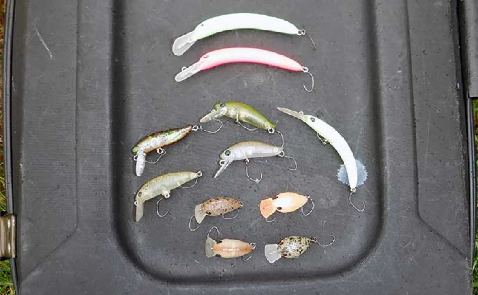 釣れる【エリアトラウト用クランク8選】 実績抜群のおすすめルアーを