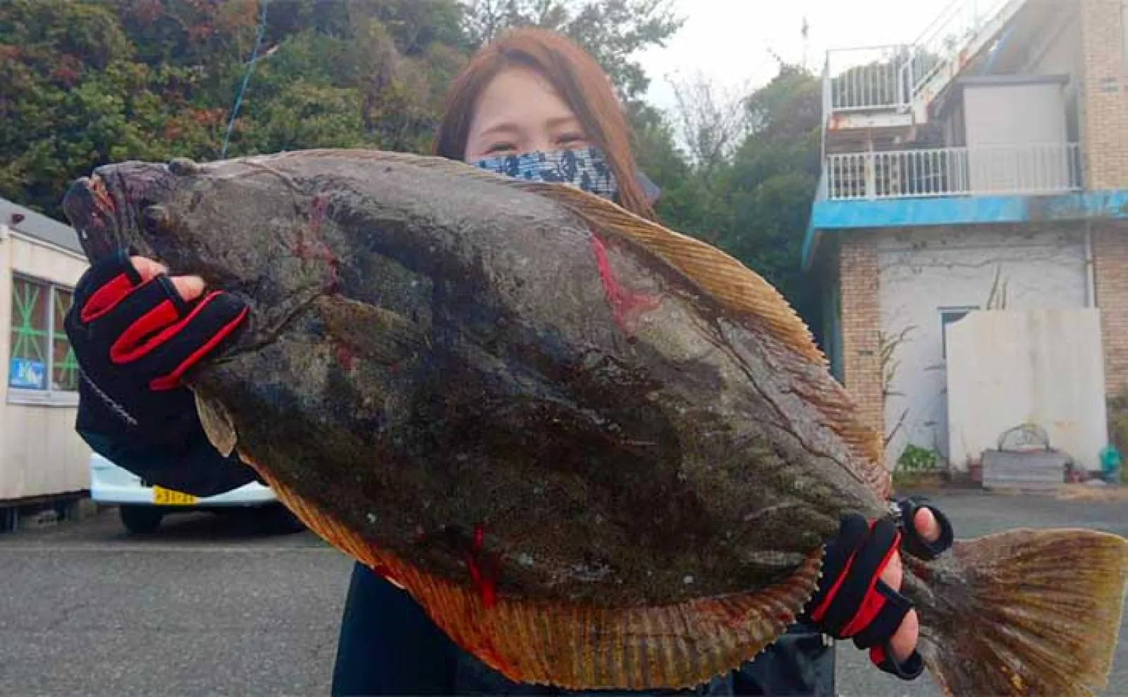 釣果速報】船での泳がせ釣りで大型ヒラメに美味なハタ類が好調（三重