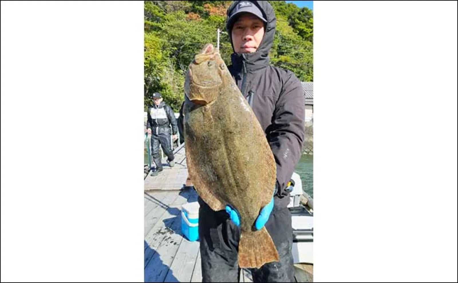 釣果速報】船での泳がせ釣りで大型ヒラメに美味なハタ類が好調（三重