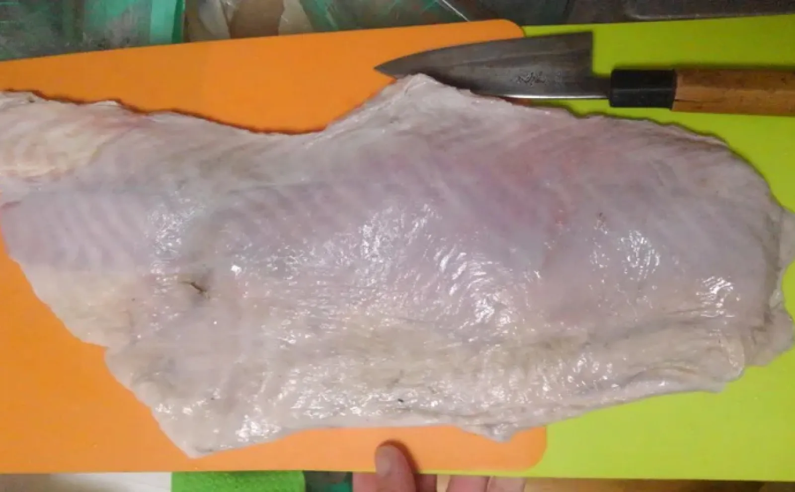 「アンモニア臭が強烈」な魚の発酵料理　サメは生でも長期保存が可能？