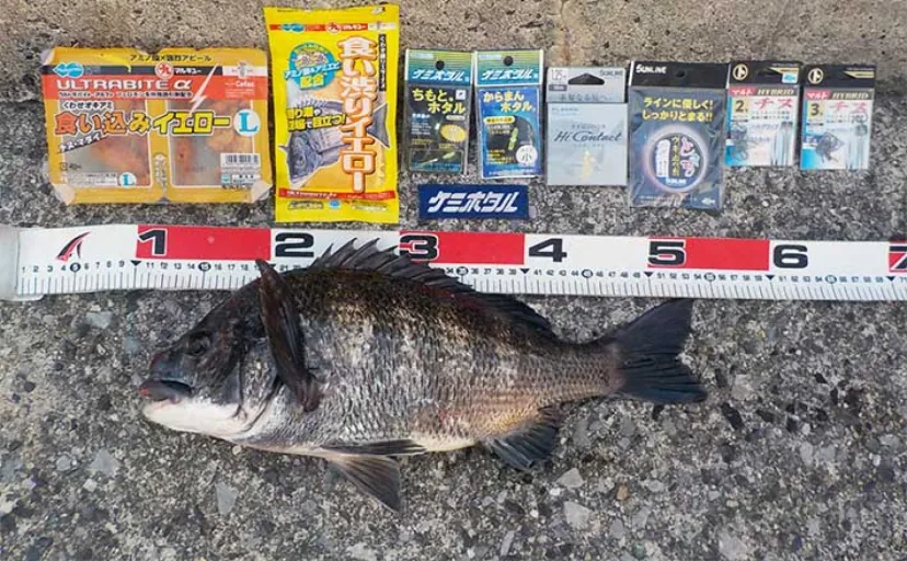 常滑港でのフカセ釣りで44cmクロダイ手中【愛知】昨年と比べると厳しい状況か