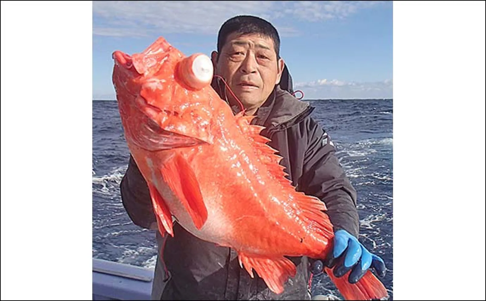 ゴクスペ　ライト深海　キンメ　メヌケ　ムツ 深海釣りで5kg頭に釣る人メヌケ3尾【千葉】ゲストのキンメでクーラー