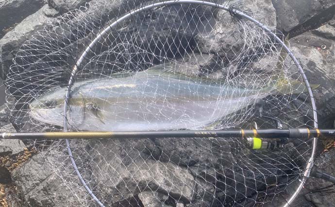 磯フカセ釣りで92cmヒラマサ獲った！【長崎・大瀬戸】ゲストに良型クロ