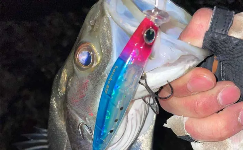 台風直後に花火大会など特別な条件でも魚は釣れる？　花火の音は影響少なめ