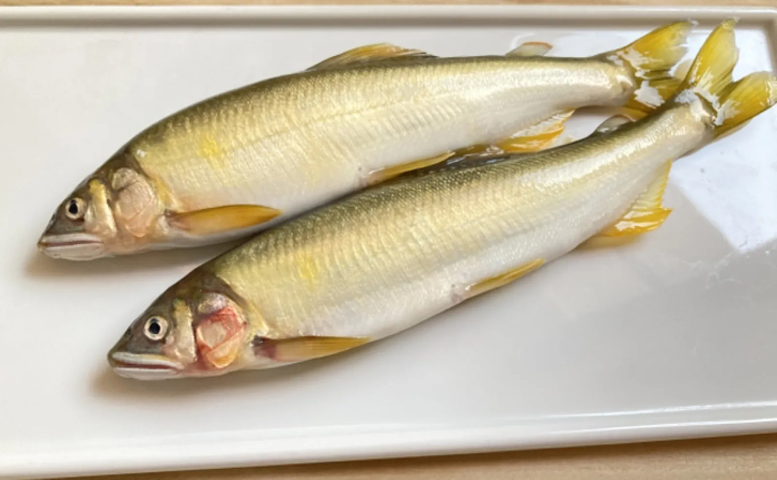 「鮎」はナマズで「鮪」はチョウザメ　日本と中国で意味が異なる魚へんが付く漢字