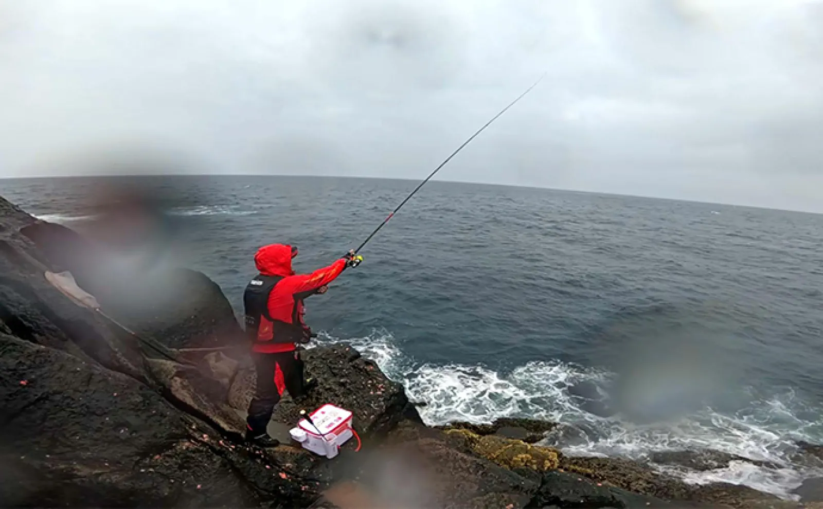 梅雨グレ（メジナ）」狙いの磯フカセ釣り入門【魚種ごとのエサ取り回避