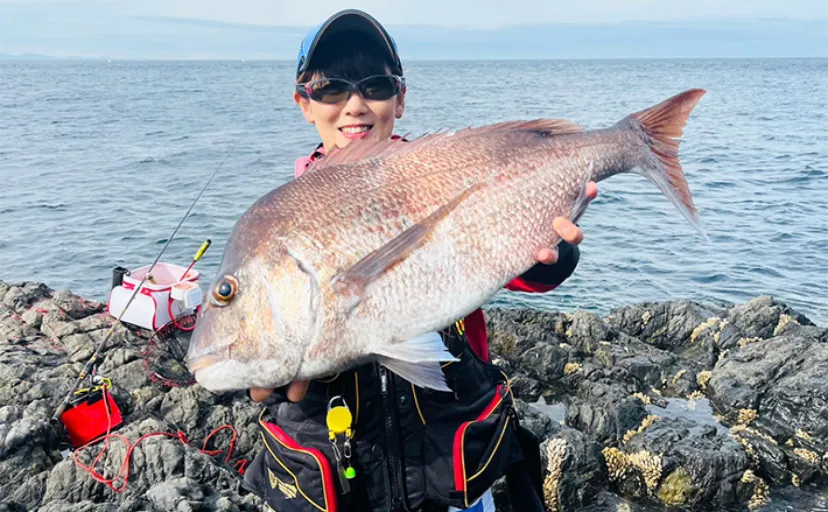 磯フカセ釣りで81cm筆頭に大型マダイ連続キャッチに成功！【山口