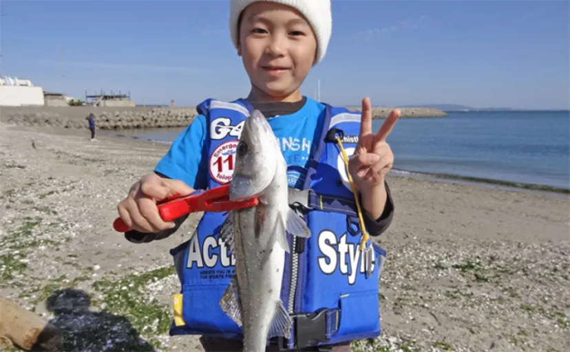 釣り好きパパにオススメの夏休み自由研究テーマ:夏に砂浜で釣れる魚を調査