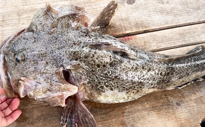 1kg5円の価値なし魚「シラミカジカ」食べてみた 美味だが寄生虫が