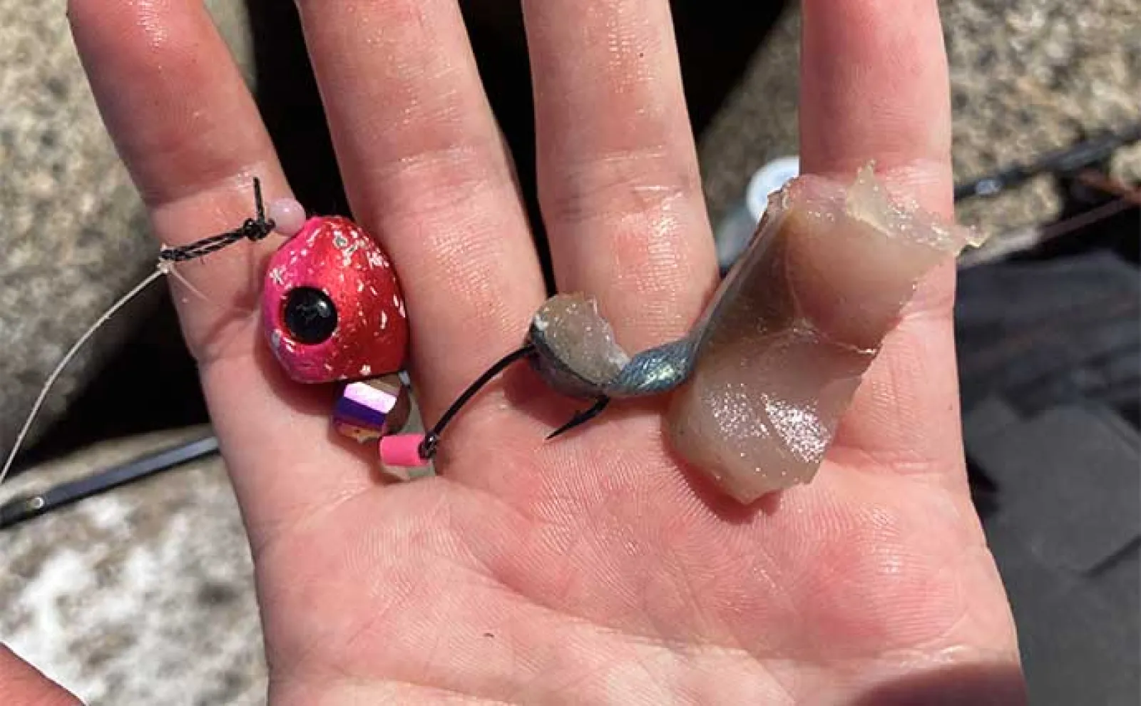 堤防穴釣りで20cm超えカサゴ16匹手中【三重・鈴鹿】サバの切り身エサに