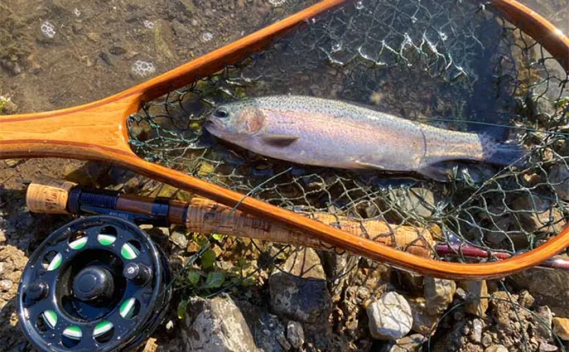 管理釣り場では【ルアーよりフライの方が釣れる?】 手返しは圧倒的にルアーが有利