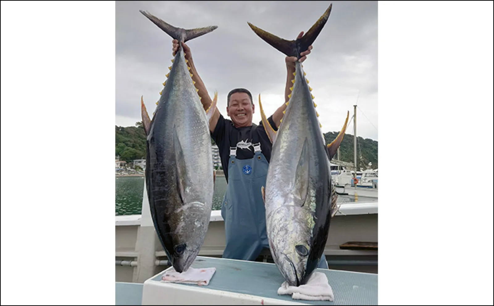 相模湾コマセ釣りで30kg級キハダマグロが浮上【神奈川・洋征丸】好調