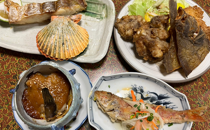 深島での磯フカセ釣りでカツオに良型イサキにオナガグレと多彩釣果に大