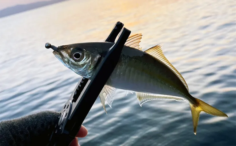 アジング愛好家に質問【スナップを使用してる?】 半数が「未使用」との回答結果に