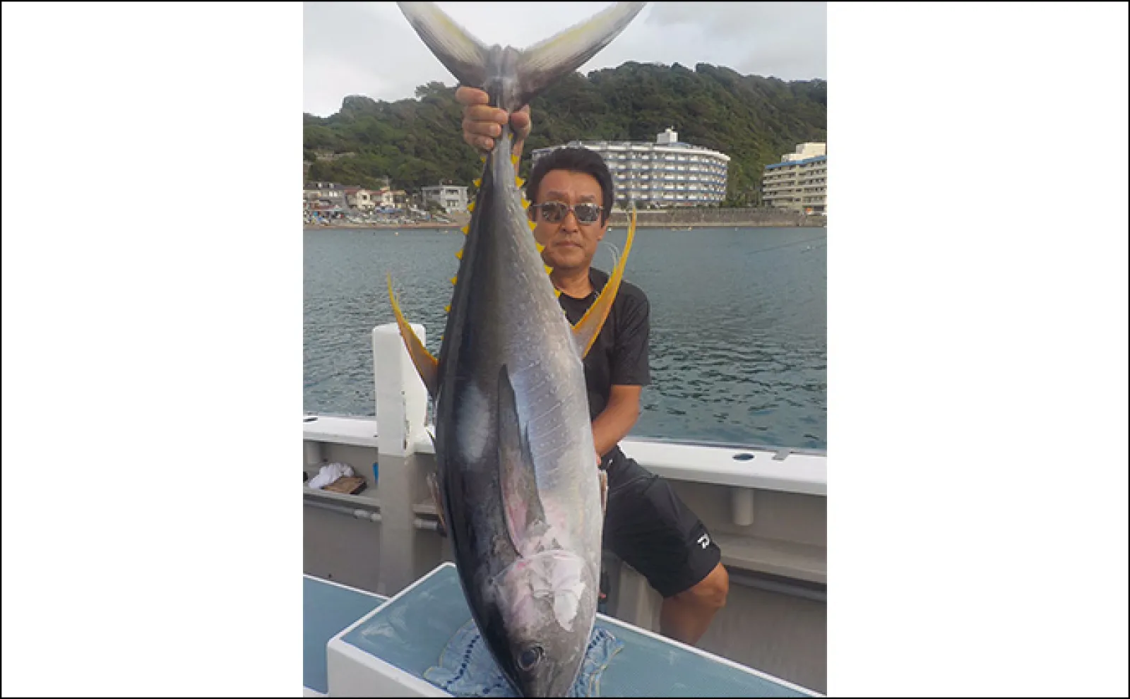 相模湾コマセ釣りで30kg級キハダマグロが浮上【神奈川・洋征丸】好調
