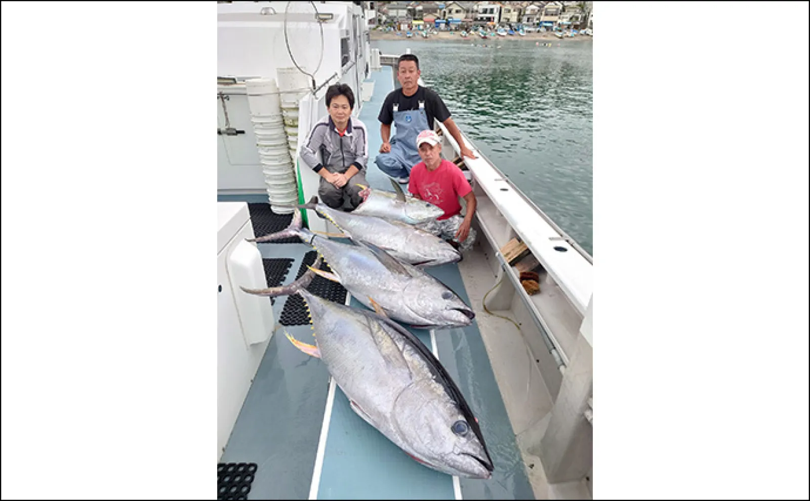 相模湾コマセ釣りで30kg級キハダマグロが浮上【神奈川・洋征丸】好調