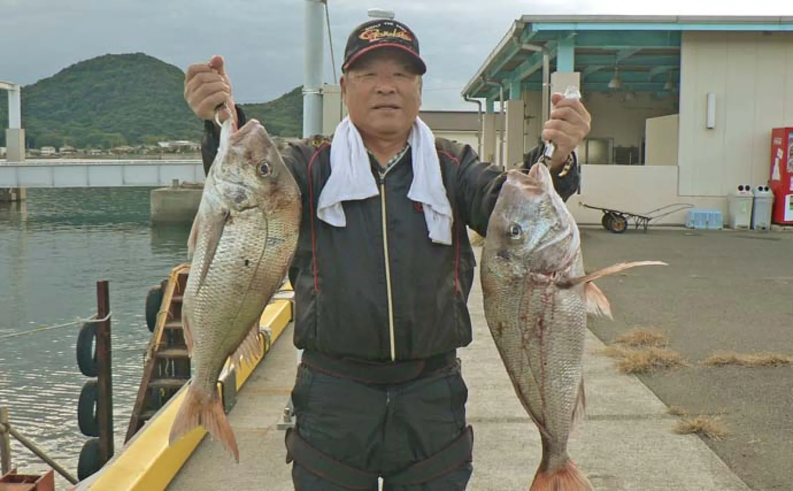 磯フカセ釣りで81cm筆頭に大型マダイ連続キャッチに成功！【山口