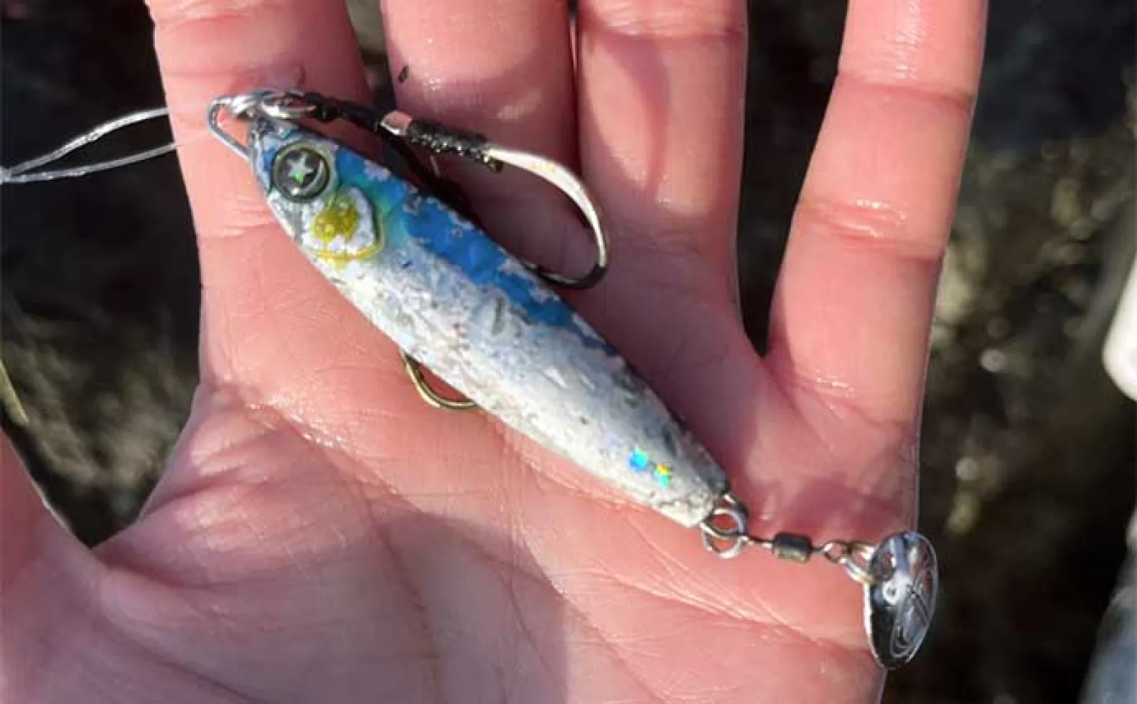大分南部の沖磯でアカハタにキジハタにカサゴとロックフィッシュが好