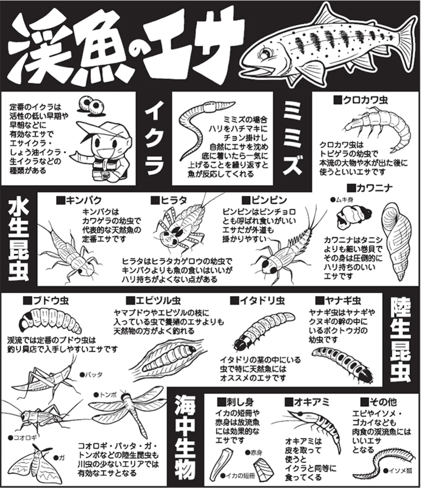 活動歴および当時の関連ビジュアル記録