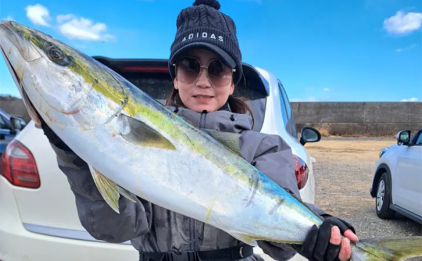 オフショアルアー最新釣果【愛知】メタボなブリが回遊中にてチャンス!