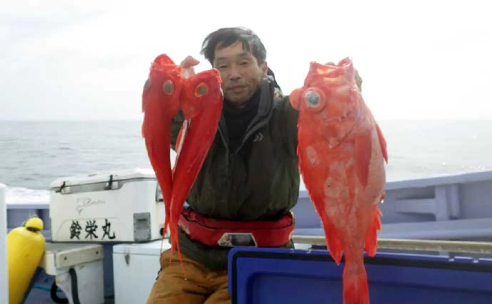 ゴクスペ ライト深海 キンメ メヌケ ムツ Light Deepwater Five-Fish