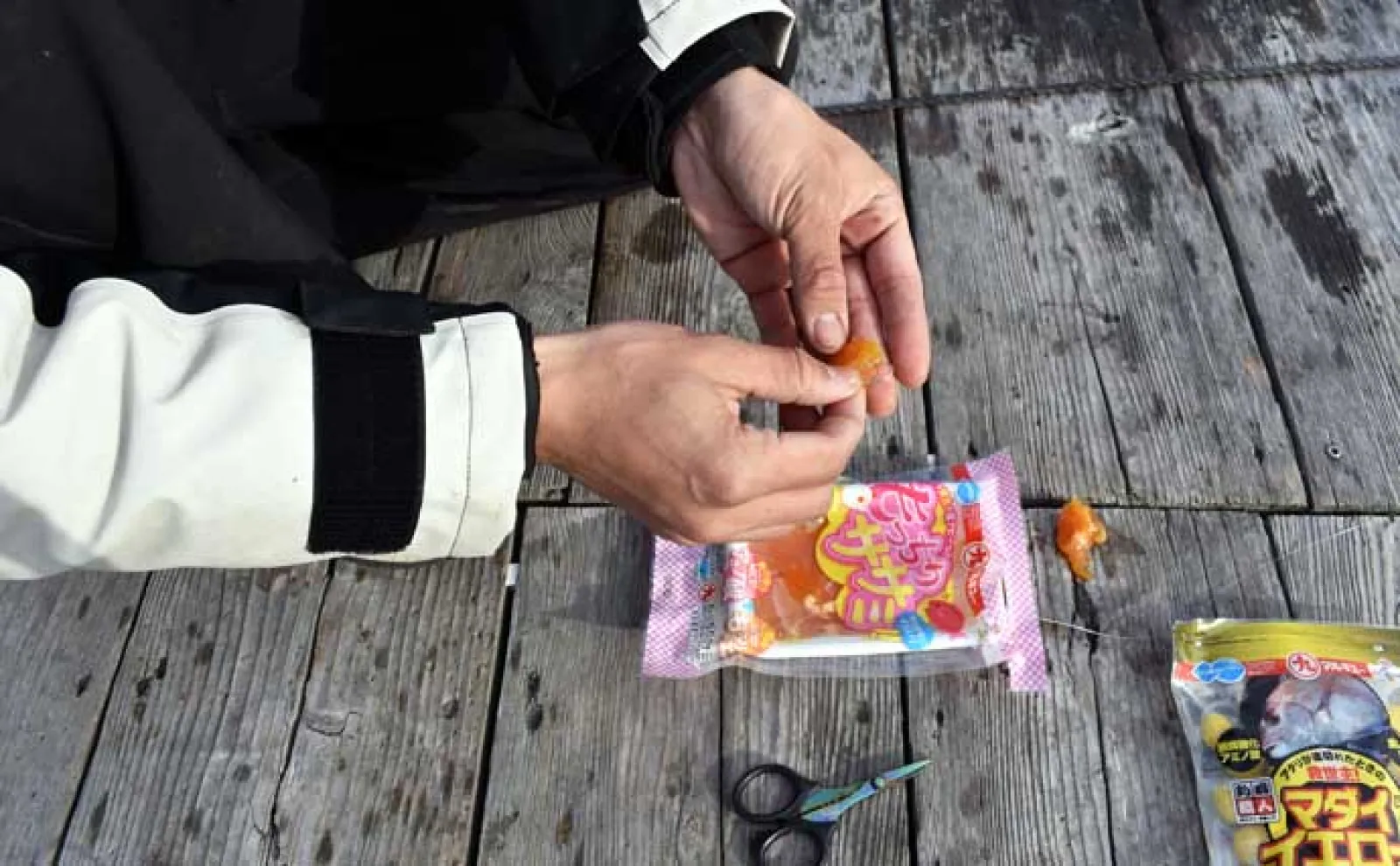 「春の釣り堀は難しい？」食い渋り時の海上釣り堀の攻略法を徹底解説