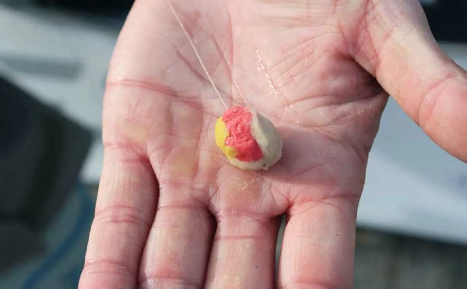 「春の釣り堀は難しい？」食い渋り時の海上釣り堀の攻略法を徹底解説