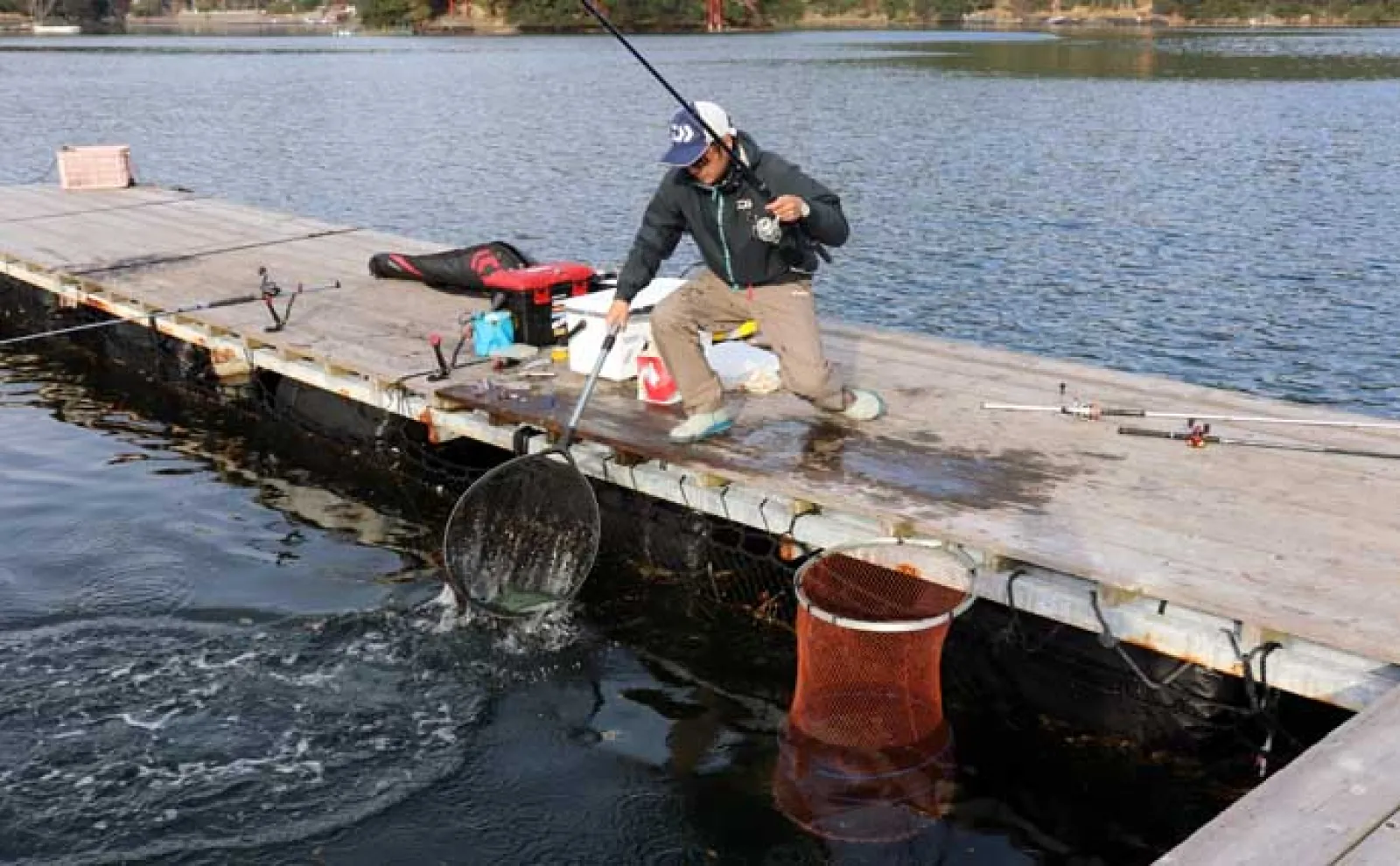 「春の釣り堀は難しい？」食い渋り時の海上釣り堀の攻略法を徹底解説