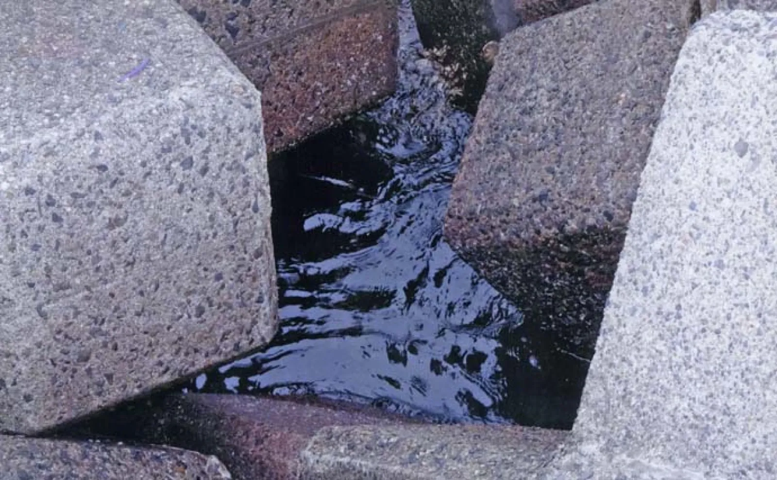 消波ブロック帯で根魚釣り【三重・千代崎漁港】ブラクリ仕掛けでカサゴ