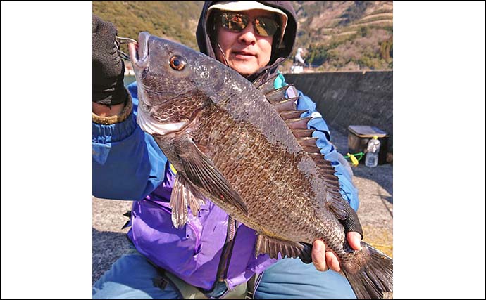 波止フカセ釣りで51cm「年無し」チヌ手中【大分・畑野浦】2人で良型4尾