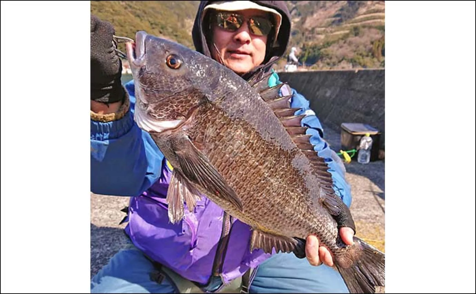 波止フカセ釣りで51cm「年無し」チヌ手中【大分・畑野浦】2人で良型4尾