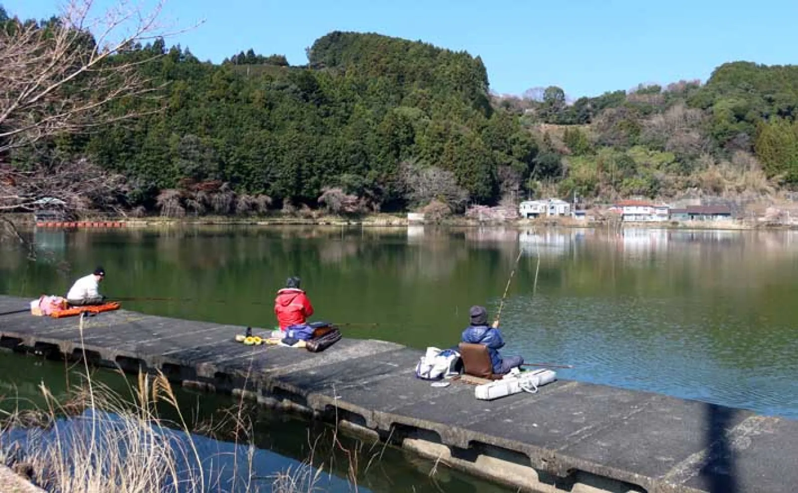 今週のヘラブナ推薦釣り場2025【静岡県・野守の池】 | 釣り