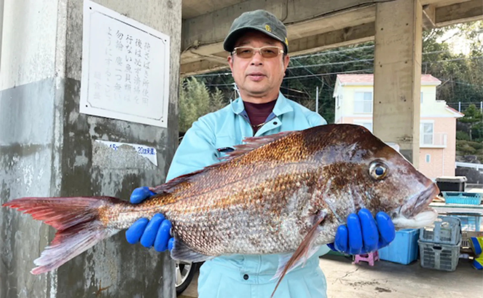 今日は鯛が爆釣、。陸からよりも確実に釣れるリヨービ　免許不用2馬力エンジン付きボート 今日は鯛が爆釣、。陸からよりも確実に釣れるリヨービ 免許不用2馬力