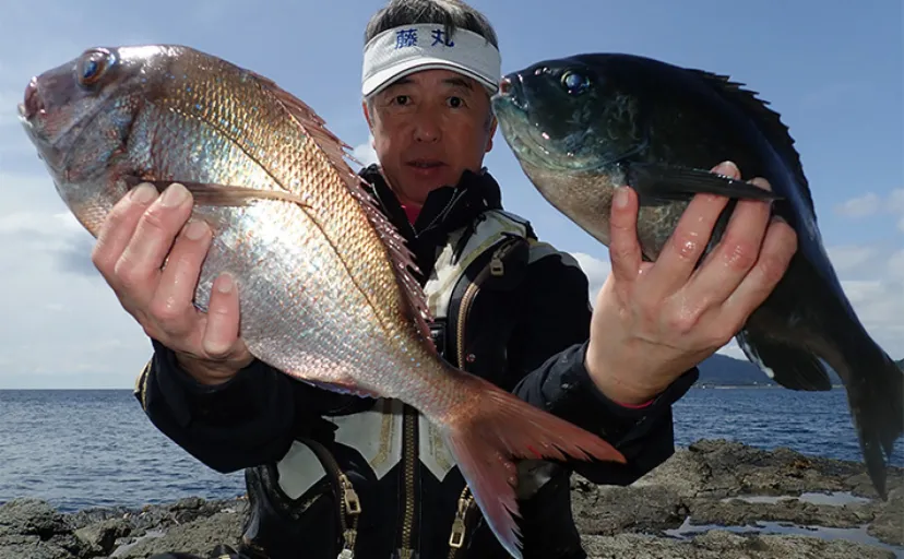沖磯でのカゴ釣りで80cm超えヒラマサに大型マダイもキャッチ！【長崎