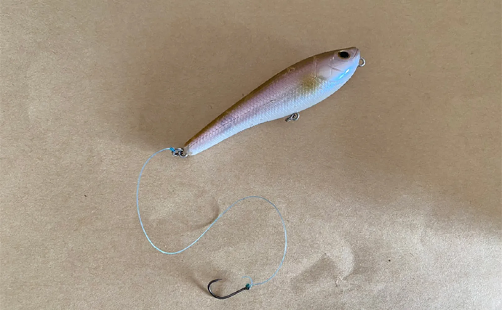 川でコイ釣りされる方　必須 コイの特徴と釣り方 | SHIMANO シマノ