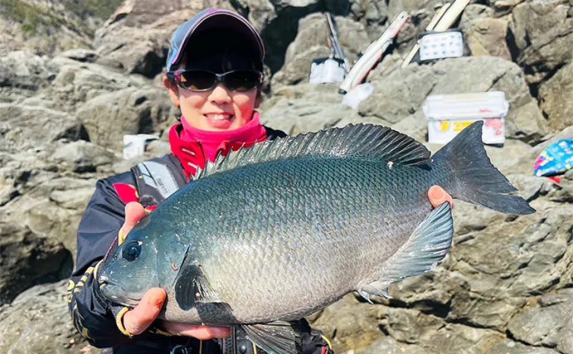 磯フカセ釣りで81cm筆頭に大型マダイ連続キャッチに成功！【山口